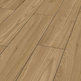 Tessin Chestnut 1017